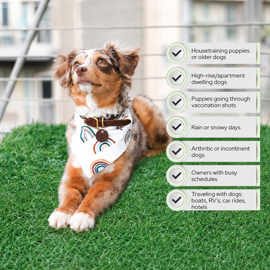 Reusable Artificial Grass Dog Toilet Mat