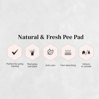 Reusable Artificial Grass Dog Toilet Mat