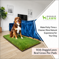 Reusable Artificial Grass Dog Toilet Mat