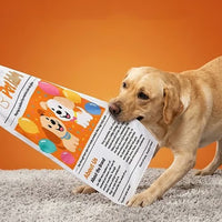 🔥3-Pack Bundle🔥Durable Interactive Crinkle Newspaper Dog Toy