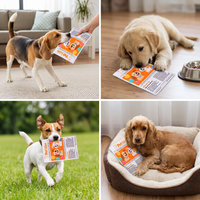 🔥3-Pack Bundle🔥Durable Interactive Crinkle Newspaper Dog Toy